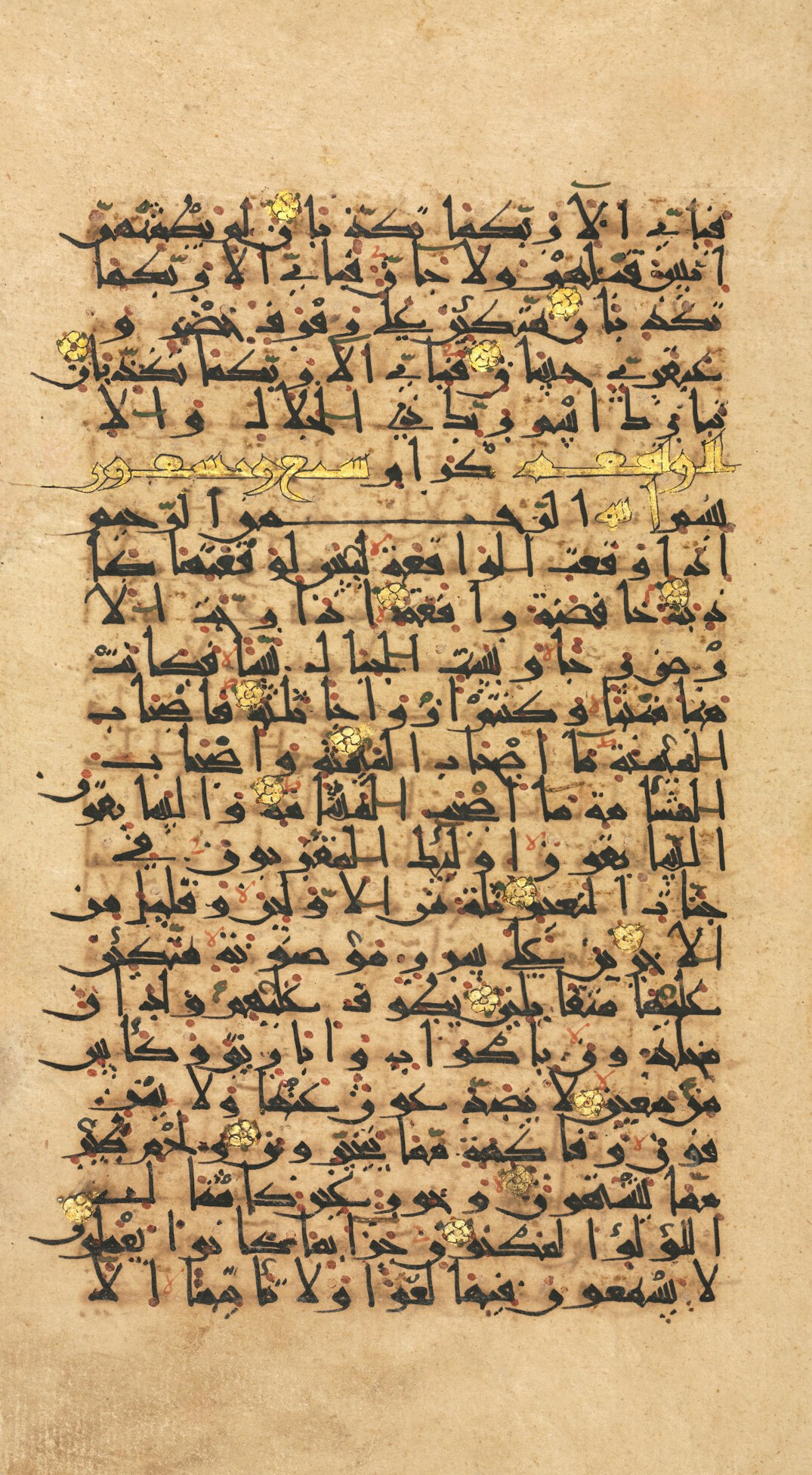 voynich manuscript page